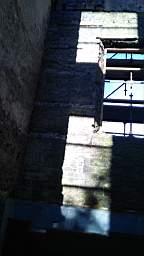 acastle
                          100270.jpg